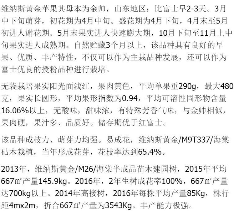 黄金帅苹果苗金冠苹果树黄元帅维纳斯黄金苹果树苗嫁接苗批发