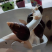 蜗牛