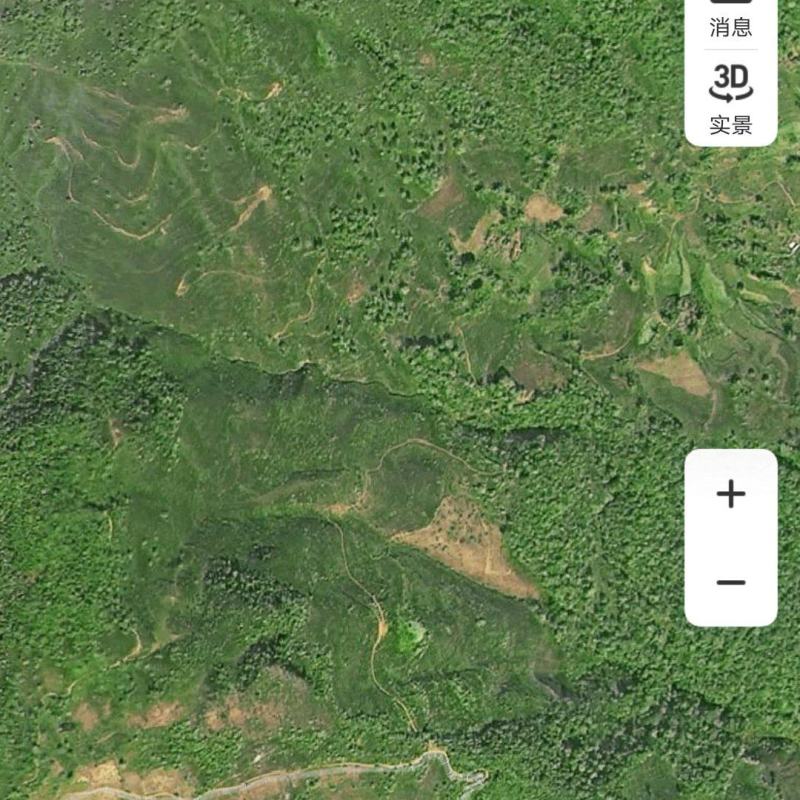 果树地