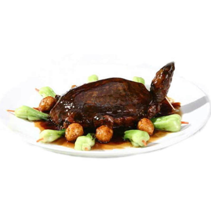 麻辣甲鱼，麻辣甲鱼，麻辣甲鱼