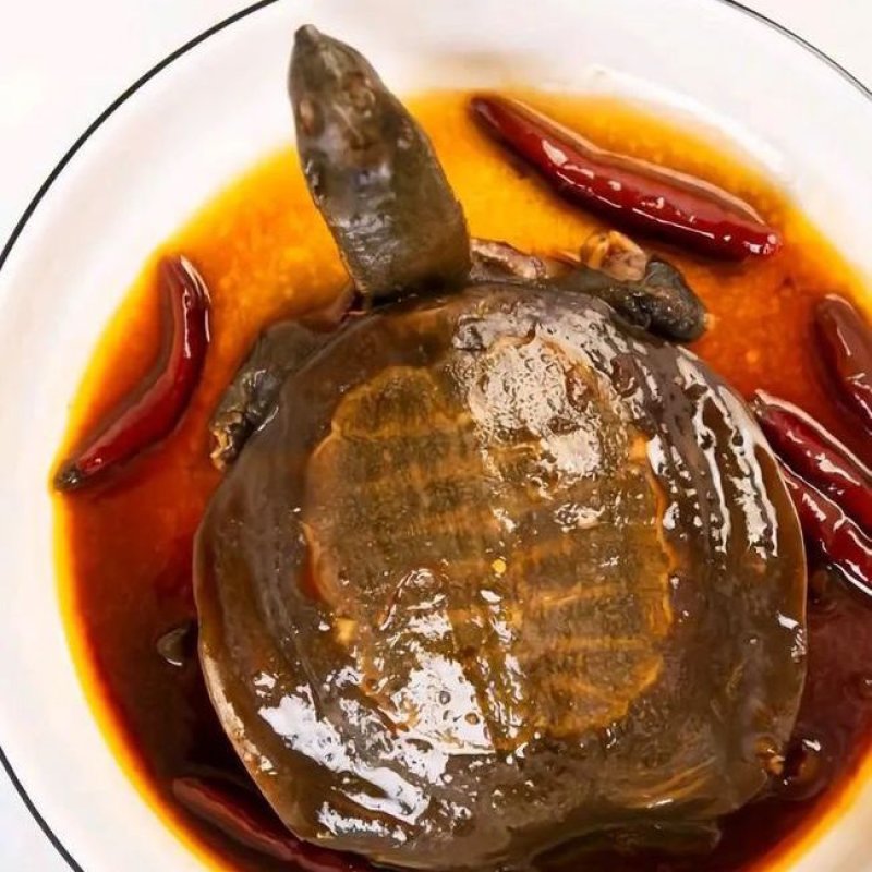 麻辣甲鱼，麻辣甲鱼，麻辣甲鱼