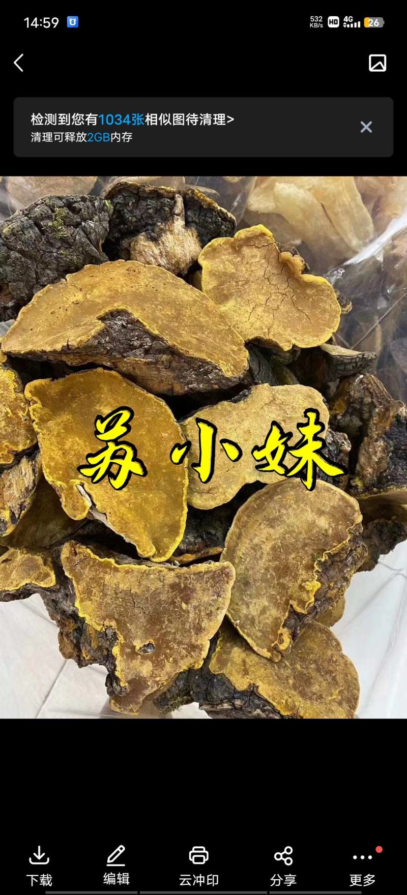 三十年实体老店！批发各种灵芝，家种灵芝野生灵芝均有，保证