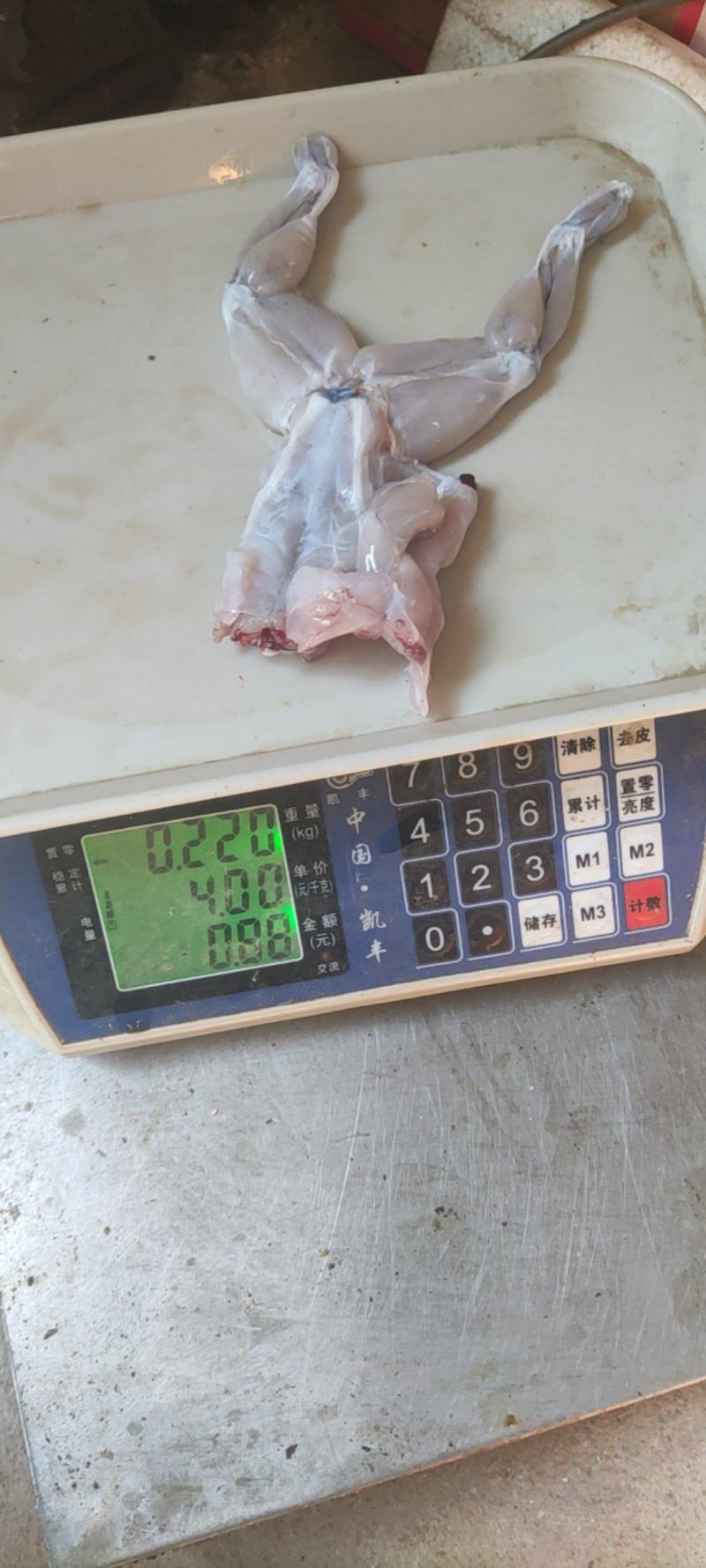 冰鲜蛙肉牛蛙现杀现发欢迎餐饮电商来下单