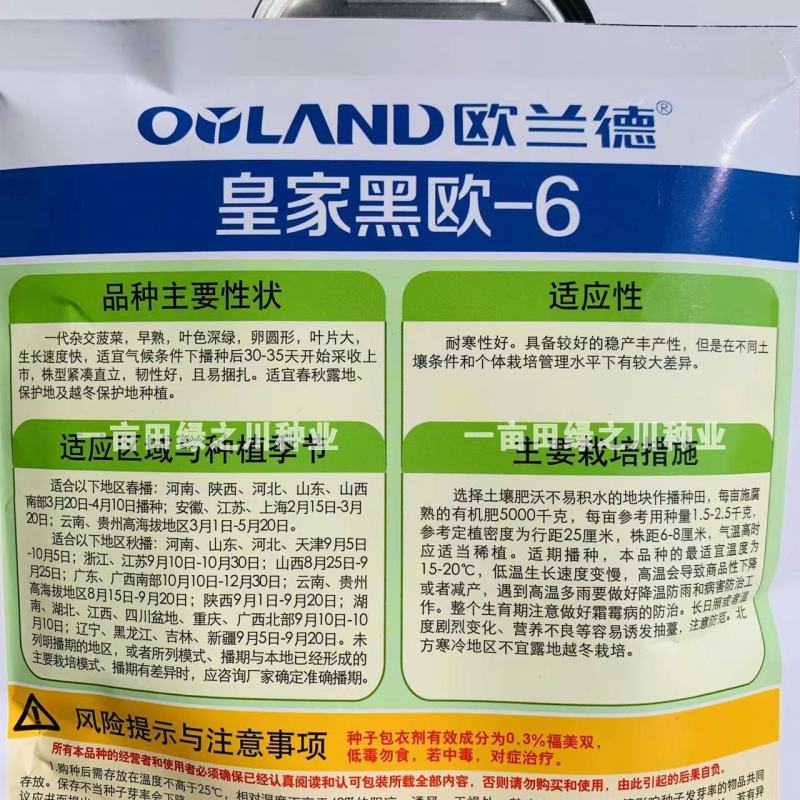 欧兰德一代杂交菠菜种子春秋越冬种植大叶菠菜种子耐寒