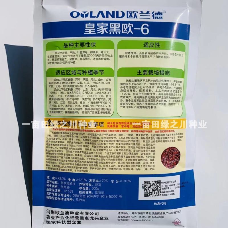 欧兰德一代杂交菠菜种子春秋越冬种植大叶菠菜种子耐寒