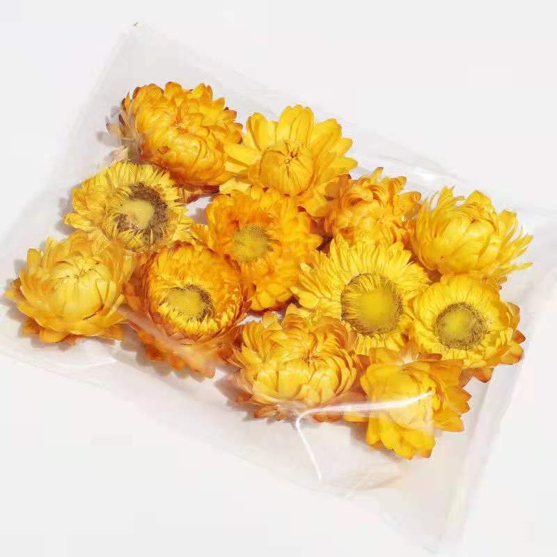 西藏七彩菊花茶七彩菊干花彩色菊藏菊花太阳菊非特级野生七彩