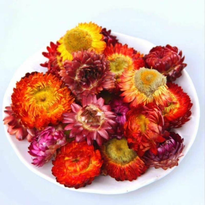 西藏七彩菊花茶七彩菊干花彩色菊藏菊花太阳菊非特级野生七彩
