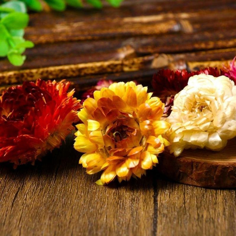 西藏七彩菊花茶七彩菊干花彩色菊藏菊花太阳菊非特级野生七彩