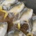 金鲳鱼平鱼海鱼金昌鱼无冰鲳鱼肉鲳鱼富贵鲳黄鲳鱼