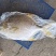 金鲳鱼平鱼海鱼金昌鱼无冰鲳鱼肉鲳鱼富贵鲳黄鲳鱼