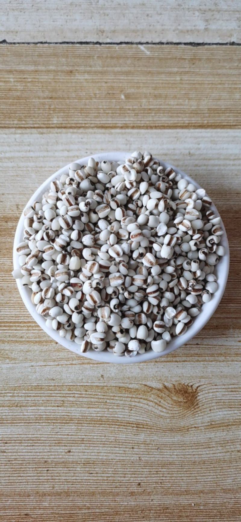 薏苡仁产地贵州中药材大全正品小薏苡仁大量批发