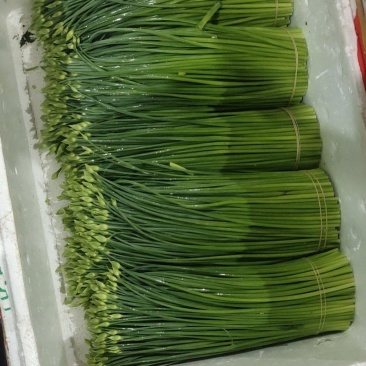 大量中长花白菜价出售，价格便宜，整车发货