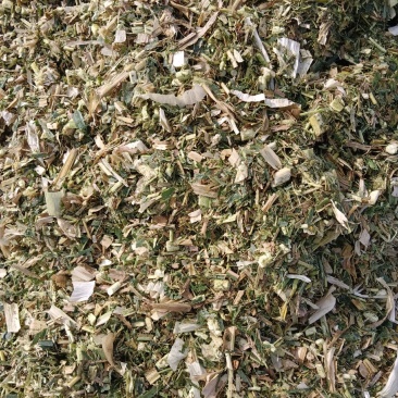 常年出售玉米杆青贮饲料，方包、圆包，一手货源