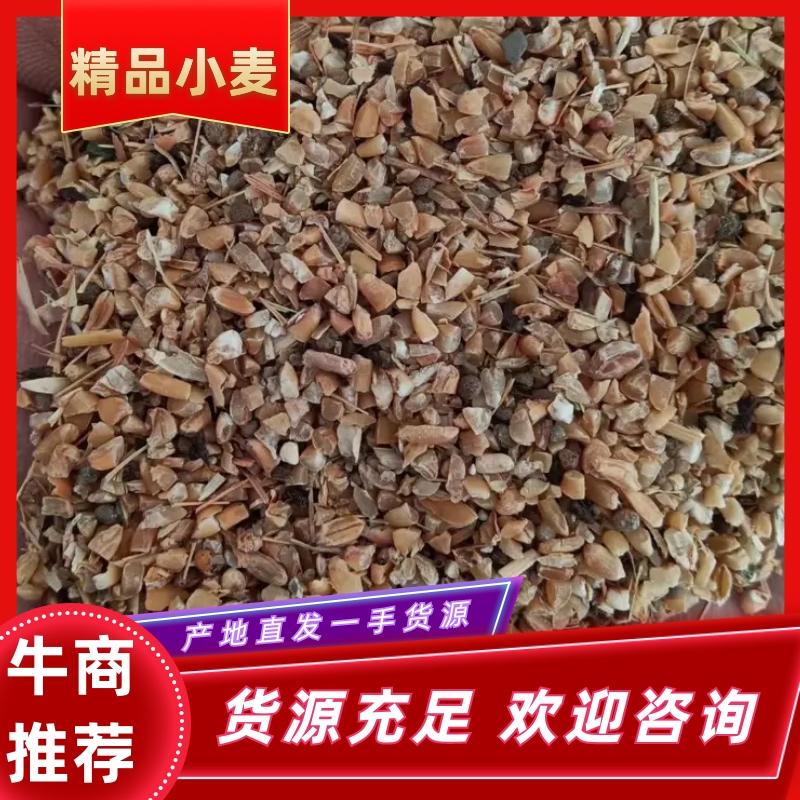 （小麦）山东精品小麦无土无沙保质保量量大从优