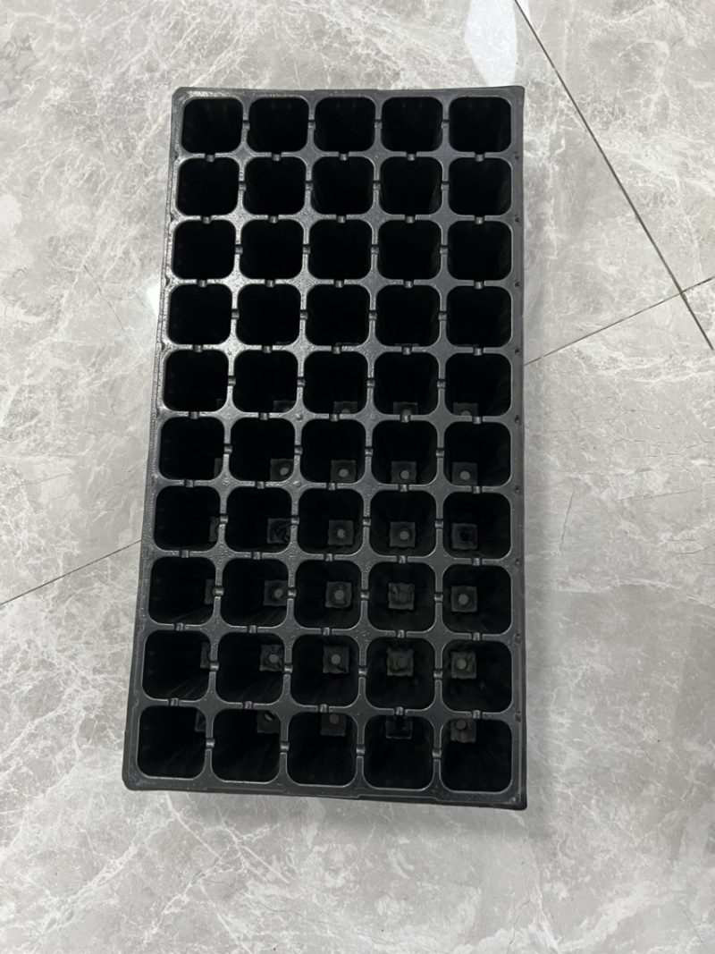 【规格齐全】育苗盘穴盘化蛹盒蔬菜育苗草莓苗木穴盘