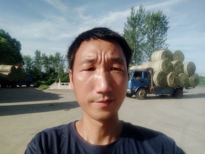 花生秧，白绿相间，非常漂亮的花生秧，牛羊的好饲料
