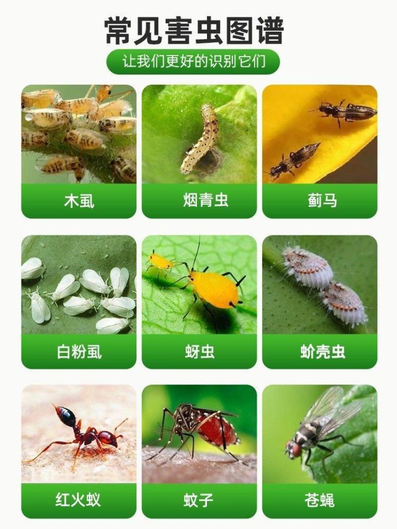 5%吡丙醚悬浮剂室外蝇幼虫杀虫剂农药农用杀蝇幼虫