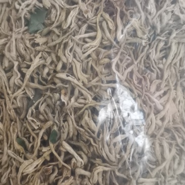 金银花