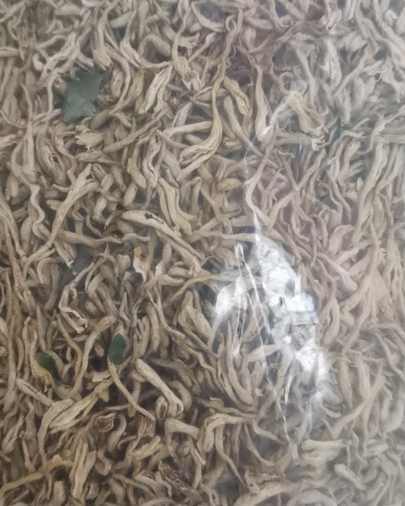 金银花