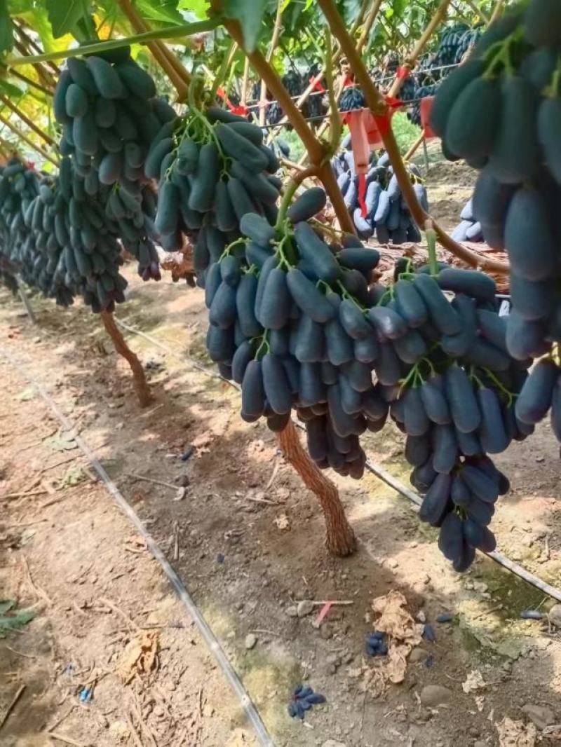 联系