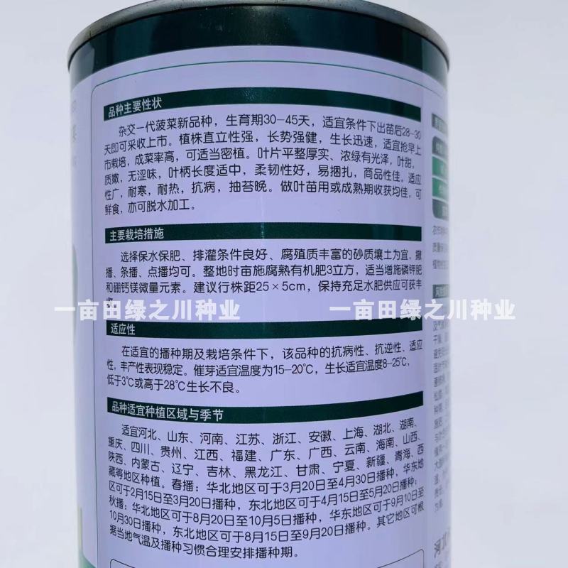 卡其优速F1一代杂交菠菜种子直立性强叶片浓绿有光泽抗病