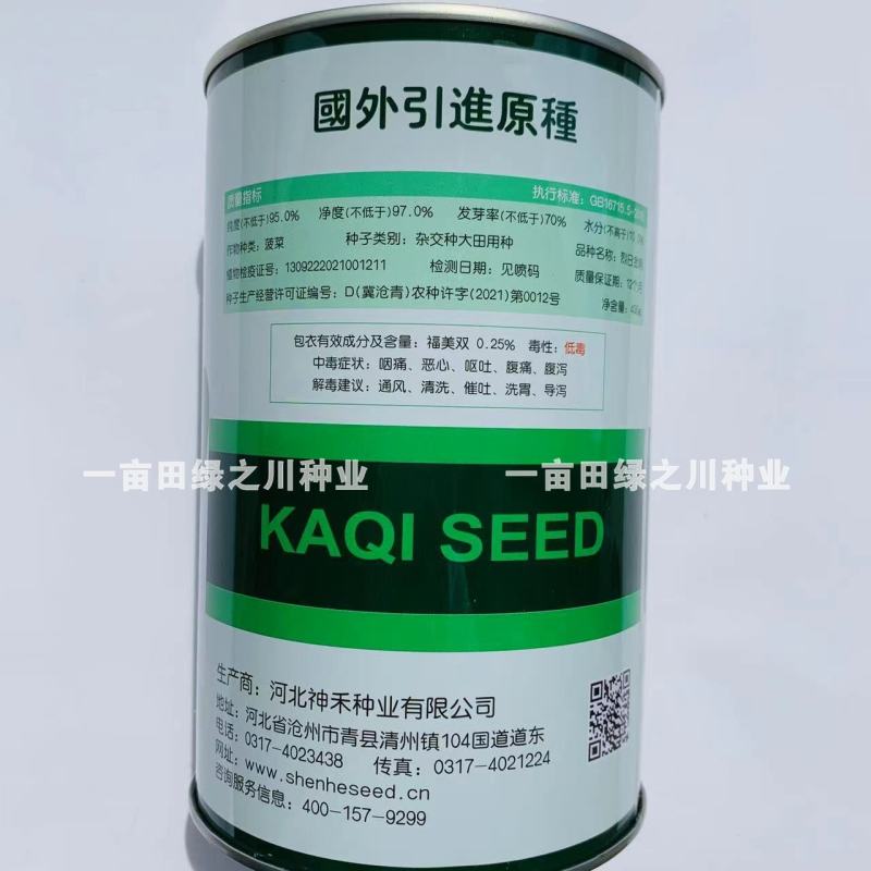 卡其烈日金刚抗热菠菜种子引进原种杂交一代耐热大叶菠菜种