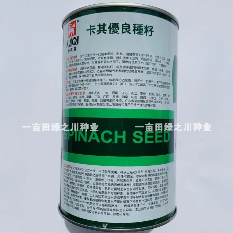 卡其烈日金刚抗热菠菜种子引进原种杂交一代耐热大叶菠菜种