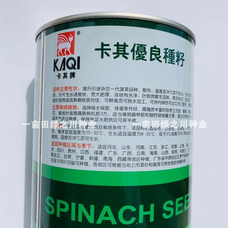 卡其烈日金刚抗热菠菜种子引进原种杂交一代耐热大叶菠菜种