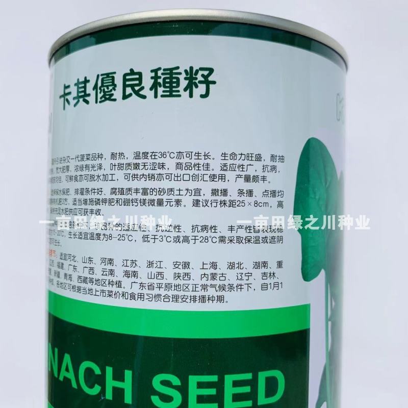卡其烈日金刚抗热菠菜种子引进原种杂交一代耐热大叶菠菜种