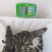 大量现货手续齐全鳄鱼活体鳄鱼白条分割好的个个部位