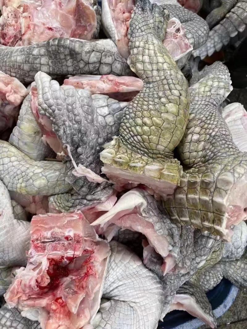 大量现货手续齐全鳄鱼活体鳄鱼白条分割好的个个部位