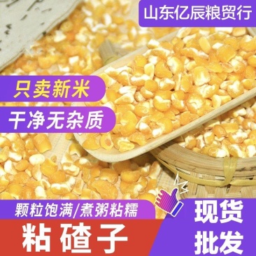 粘玉米茬玉米碴子黏玉米渣糯玉米碴子熬粥香糯