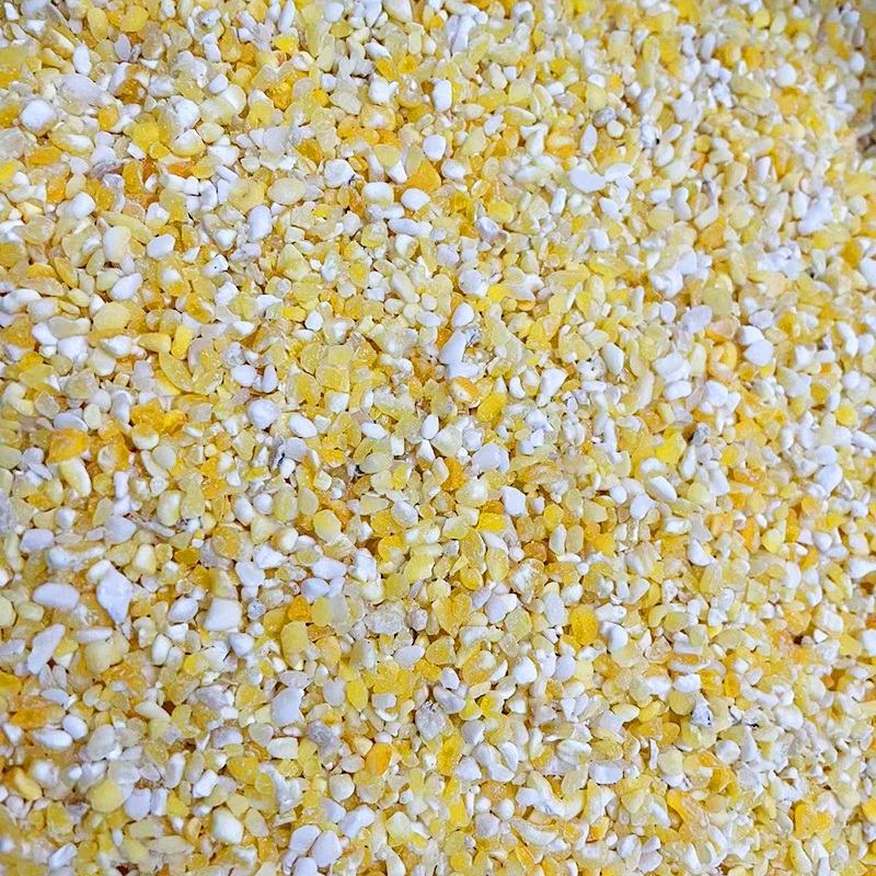 粘玉米茬玉米碴子黏玉米渣糯玉米碴子熬粥香糯