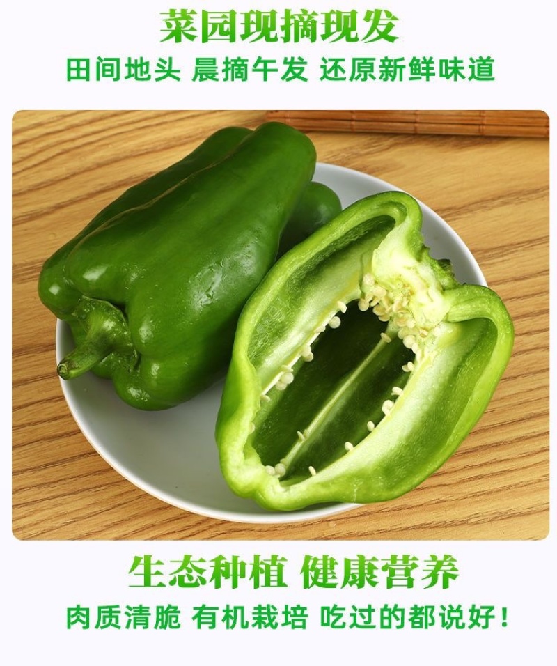 【实力】产地直发优质太空椒，绿椒，圆椒，电商，常年供应