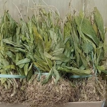 见血清欢迎各位老总联系，量大价美丽，发全国