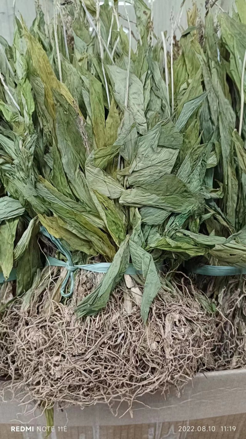 见血清欢迎各位老总联系，量大价美丽，发全国