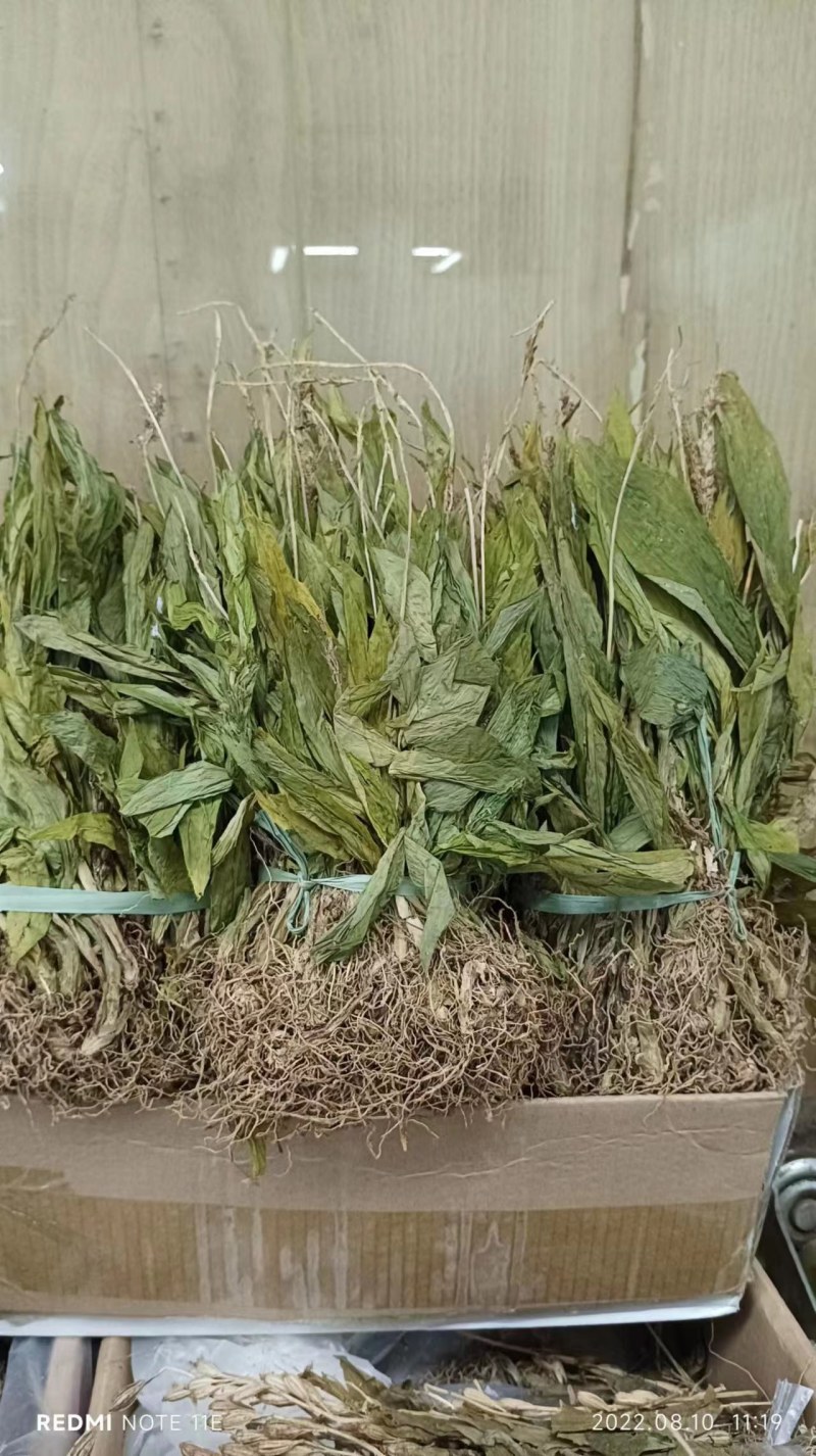 见血清欢迎各位老总联系，量大价美丽，发全国
