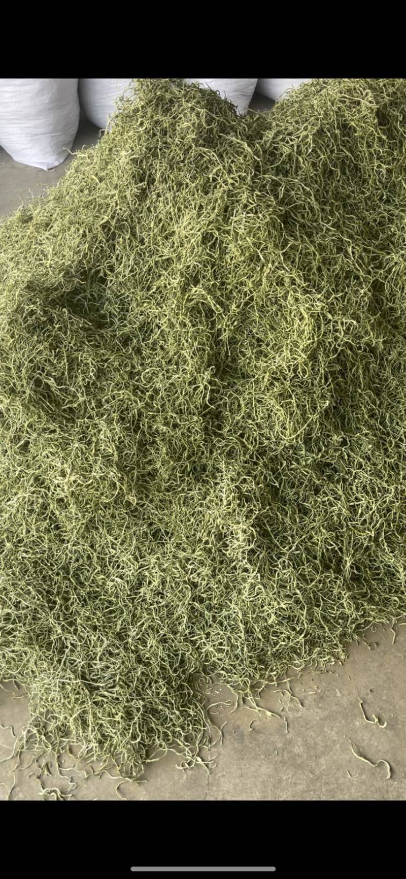 精品干豆角丝(精选货)(15cm以上)23年新货上市)