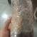 出售羊肚菌菌种