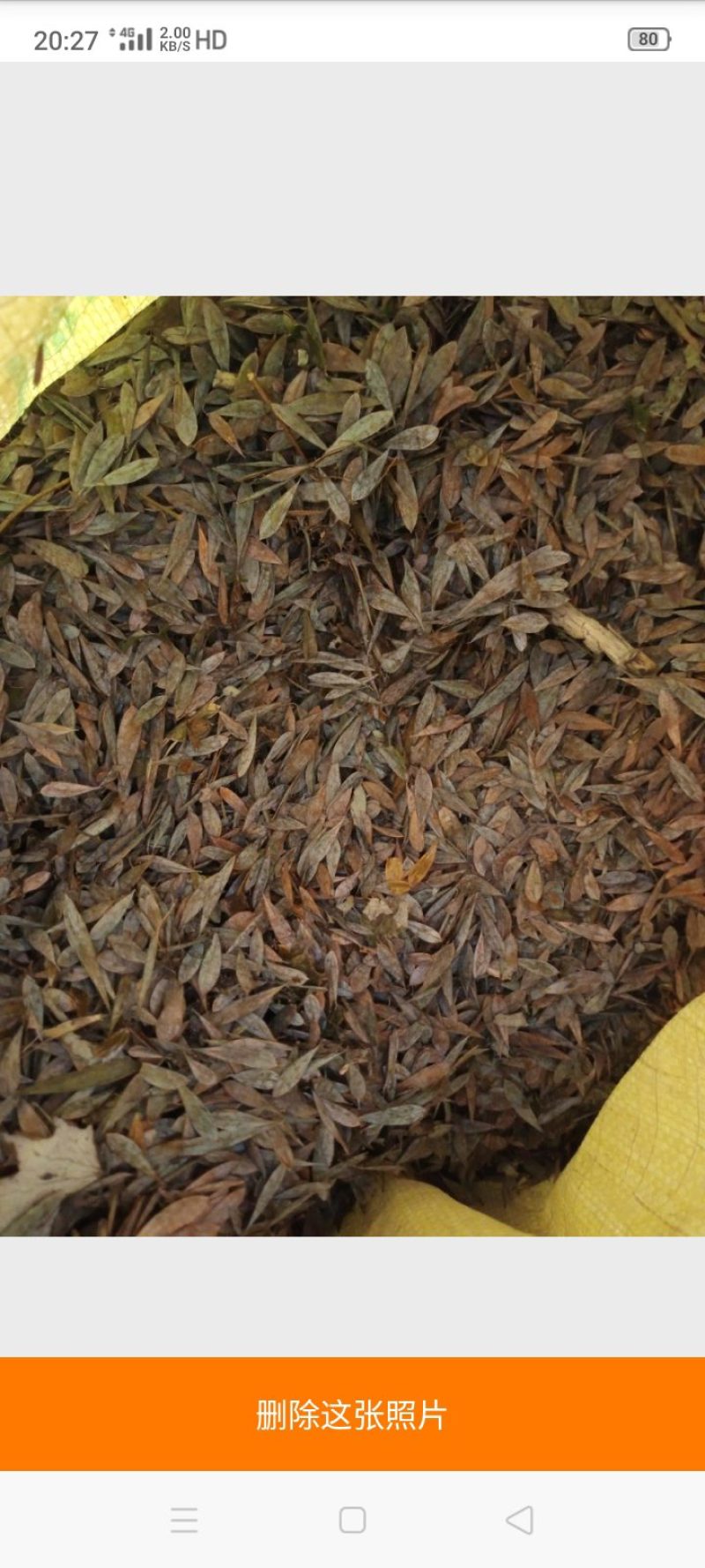 博落回果荚干货，博落回通货干货，欢迎你的联系