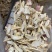 人参片。白人参片斜片产地吉林省保质保量文斌药业批发