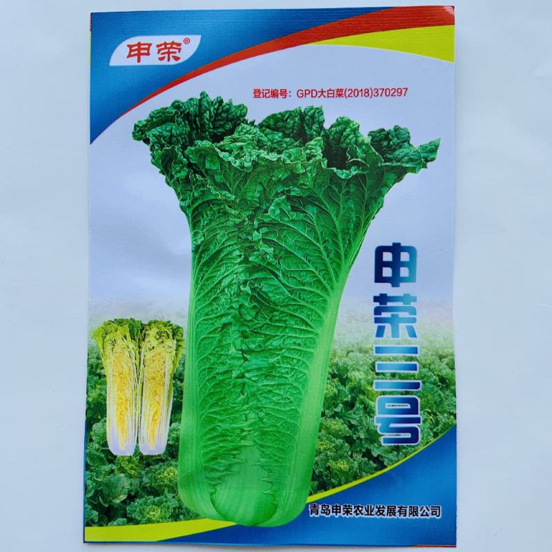 申荣三号大白菜种子秋季播高产抗病蔬菜种子高桩大青白菜种籽