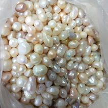 天然淡水珍珠无核珍珠食用药用珍珠大量现货供应