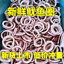 新鲜鱿鱼圈目鱼圈油炸捞汁火锅自助餐食材批发大量现货