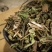 中药材薄荷干薄荷薄荷杆薄荷草全颗各种规格可打粉