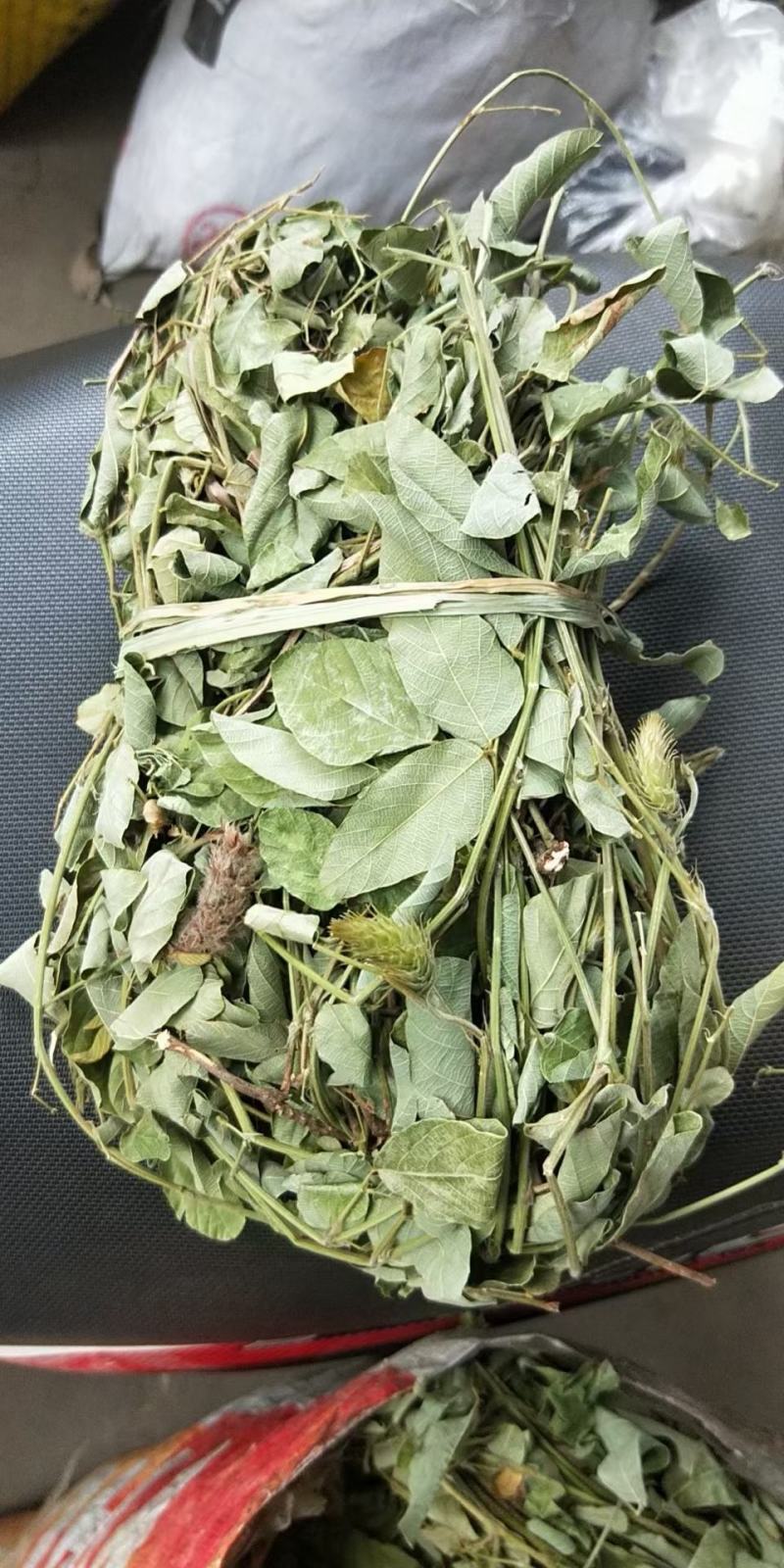 狸尾草