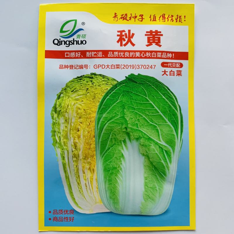 青硕秋黄大白菜种子高产黄心大白菜种籽秋季耐寒高产大田用种