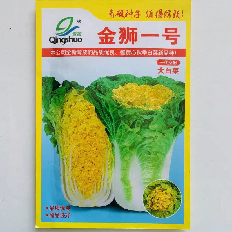 黄心大白菜种子中狮头大白菜抗病高产秋季大田种植冬季蔬菜种