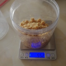 黑水虻高品质虫卵孵化率高技术支持