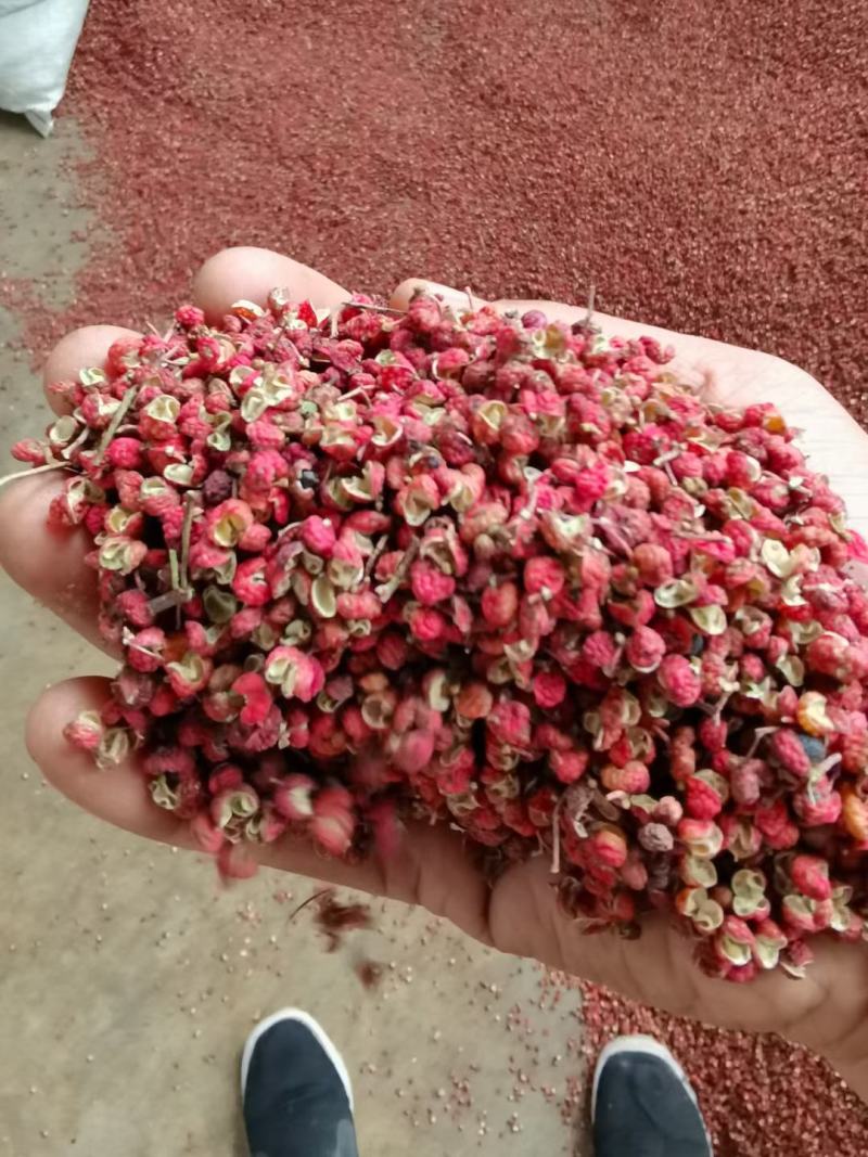花椒陕西大红袍干花椒产地发货品质有保证